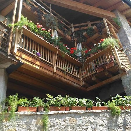 La Cort Di Nonna Rosa Bed and Breakfast Mori Εξωτερικό φωτογραφία